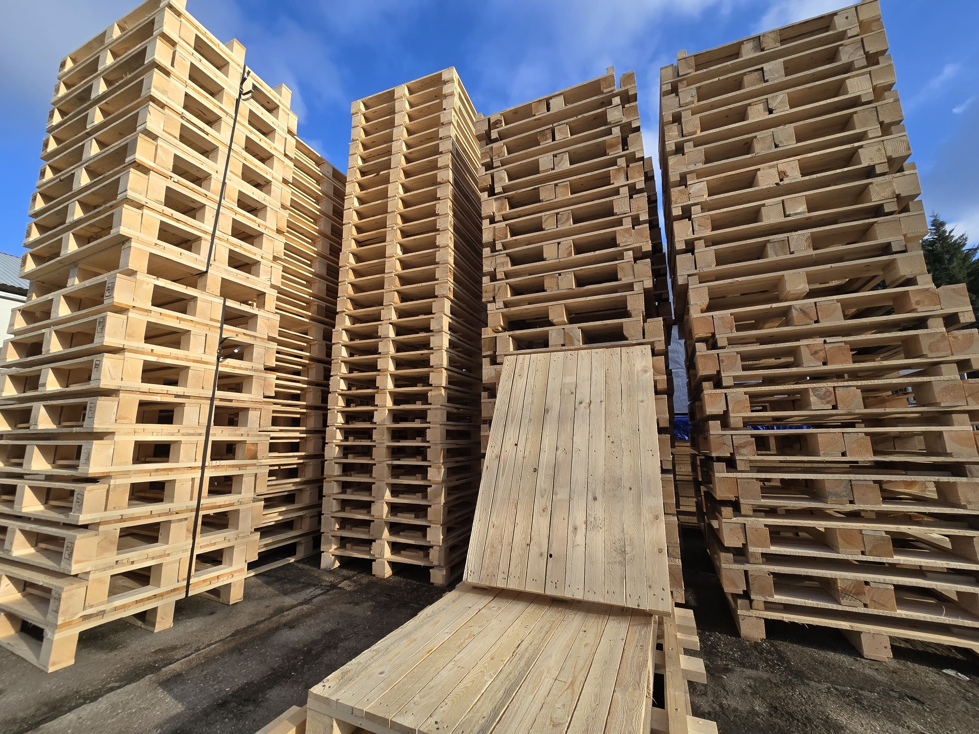 Custom and Standard Pallet Solutions for Businesses